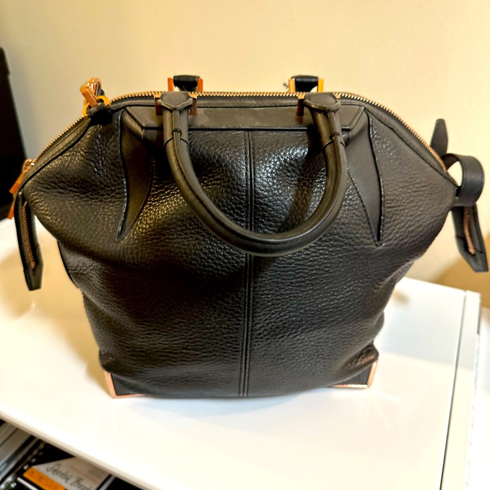 Iconic Alexander Wang Prism Bag